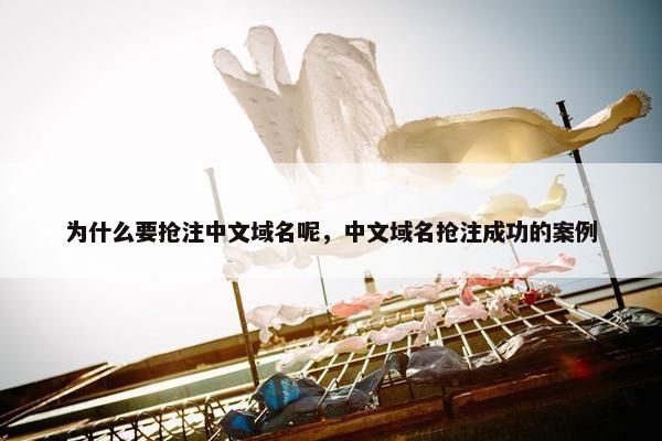 为什么要抢注中文域名呢，中文域名抢注成功的案例