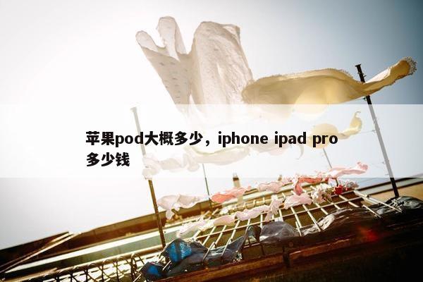 苹果pod大概多少，iphone ipad pro多少钱