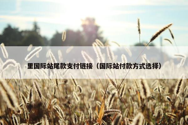 里国际站尾款支付链接（国际站付款方式选择）