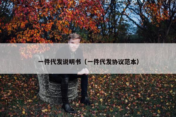 一件代发说明书（一件代发协议范本）