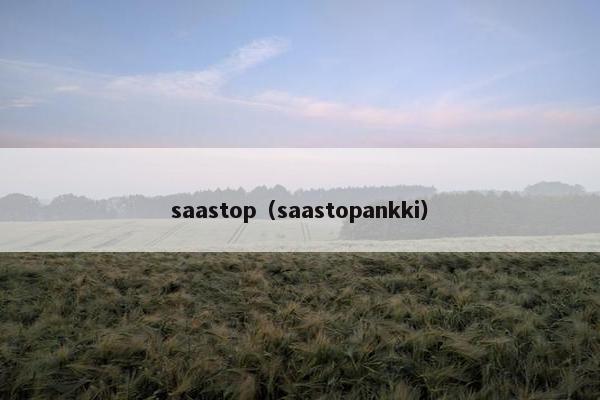 saastop（saastopankki）