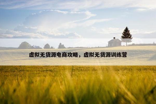 虚拟无货源电商攻略，虚拟无货源训练营