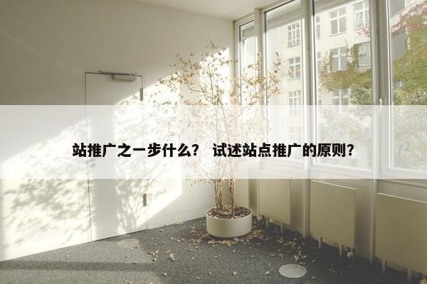 站推广之一步什么？ 试述站点推广的原则？