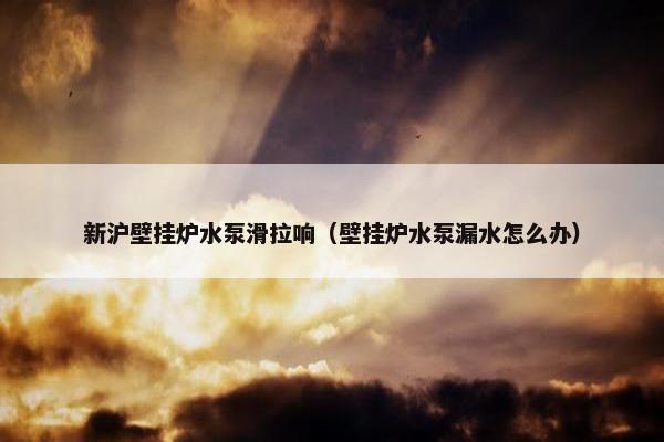 新沪壁挂炉水泵滑拉响（壁挂炉水泵漏水怎么办）