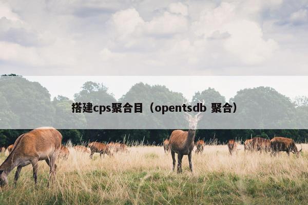 搭建cps聚合目（opentsdb 聚合）