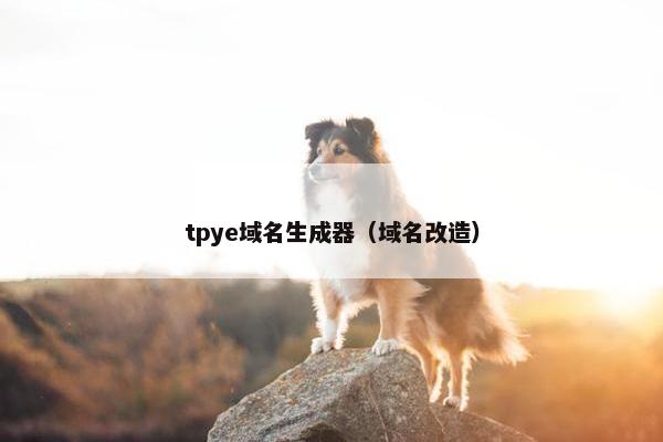 tpye域名生成器（域名改造）