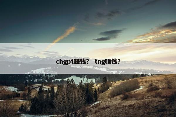 chgpt赚钱？ tng赚钱？