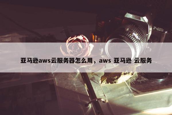 亚马逊aws云服务器怎么用，aws 亚马逊 云服务
