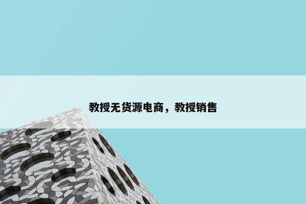 教授无货源电商，教授销售