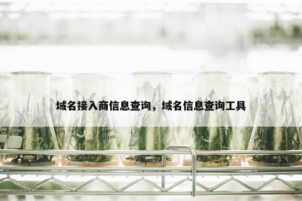 域名接入商信息查询，域名信息查询工具
