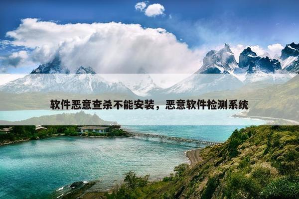 软件恶意查杀不能安装，恶意软件检测系统