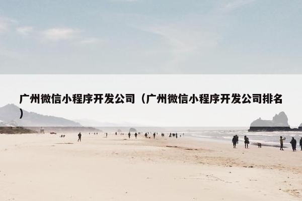 广州微信小程序开发公司（广州微信小程序开发公司排名）
