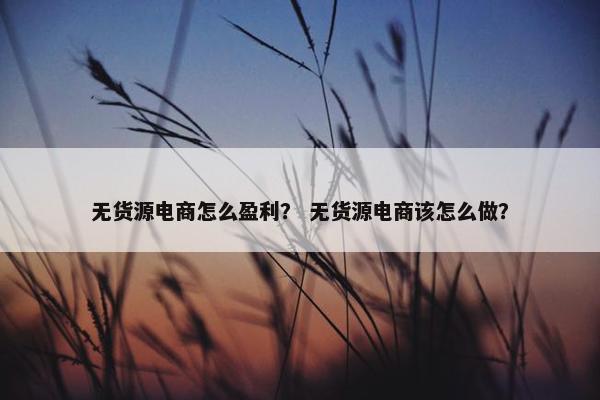 无货源电商怎么盈利？ 无货源电商该怎么做？