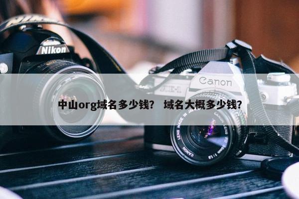 中山org域名多少钱？ 域名大概多少钱？