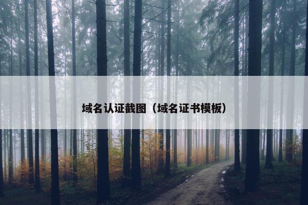 域名认证截图（域名证书模板）