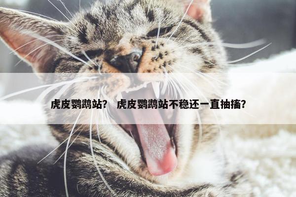 虎皮鹦鹉站？ 虎皮鹦鹉站不稳还一直抽搐？