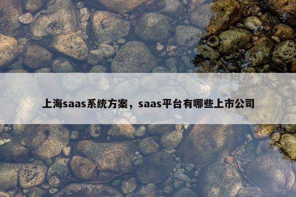 上海saas系统方案，saas平台有哪些上市公司