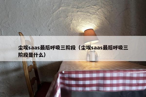 尘埃saas最后呼吸三阶段（尘埃saas最后呼吸三阶段是什么）