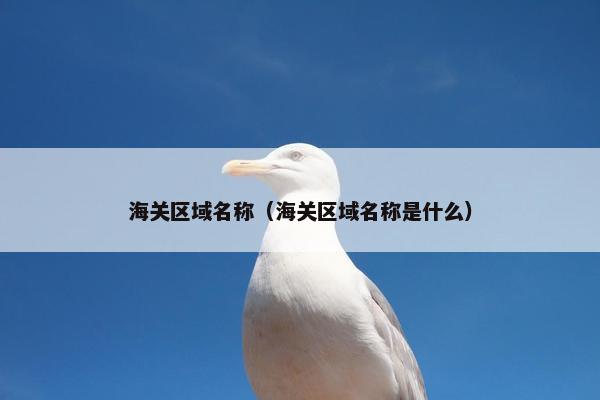 海关区域名称（海关区域名称是什么）