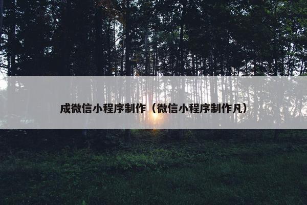 成微信小程序制作（微信小程序制作凡）