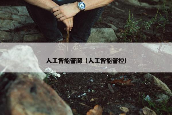 人工智能管廊（人工智能管控）
