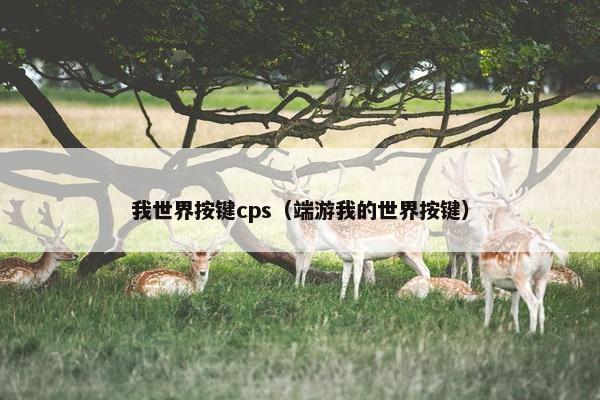 我世界按键cps（端游我的世界按键）