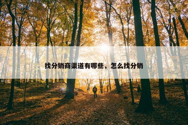 找分销商渠道有哪些，怎么找分销