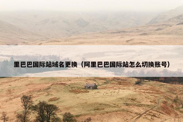 里巴巴国际站域名更换（阿里巴巴国际站怎么切换账号）