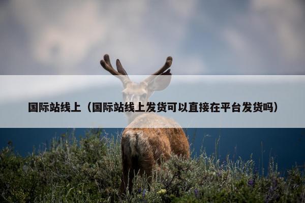 国际站线上（国际站线上发货可以直接在平台发货吗）