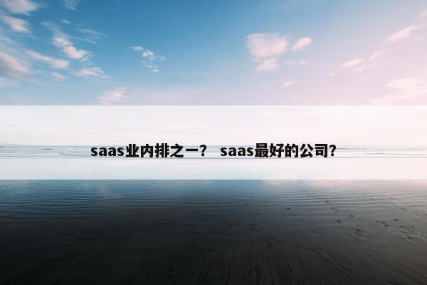 saas业内排之一？ saas最好的公司？