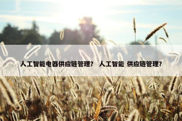 人工智能电器供应链管理？ 人工智能 供应链管理？