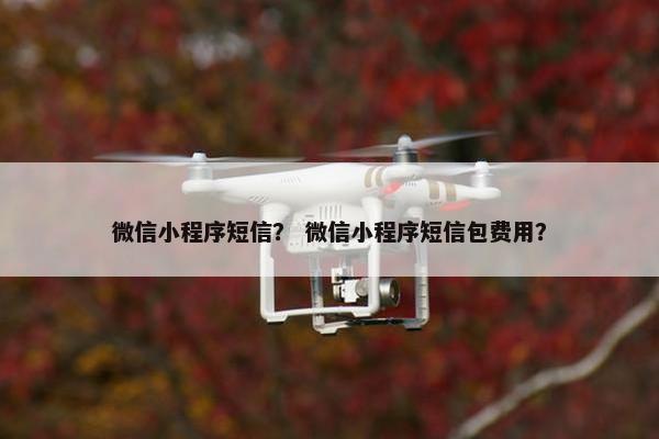 微信小程序短信？ 微信小程序短信包费用？