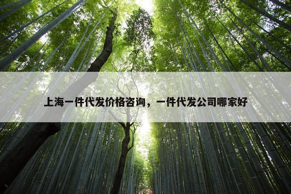 上海一件代发价格咨询，一件代发公司哪家好
