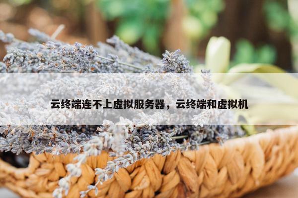 云终端连不上虚拟服务器，云终端和虚拟机