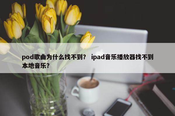 pod歌曲为什么找不到？ ipad音乐播放器找不到本地音乐？