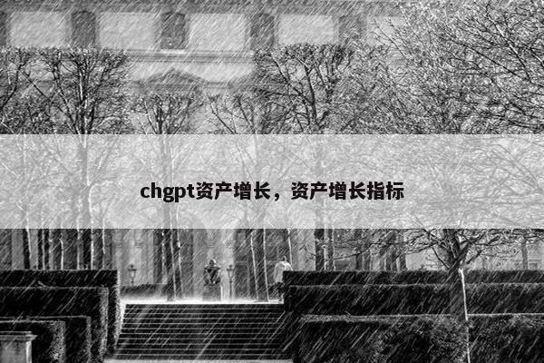 chgpt资产增长，资产增长指标