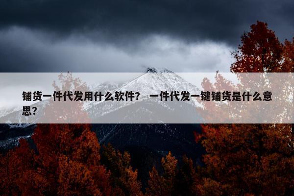 铺货一件代发用什么软件？ 一件代发一键铺货是什么意思？
