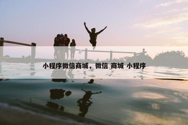小程序微信商城，微信 商城 小程序