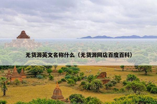 无货源英文名称什么（无货源网店百度百科）