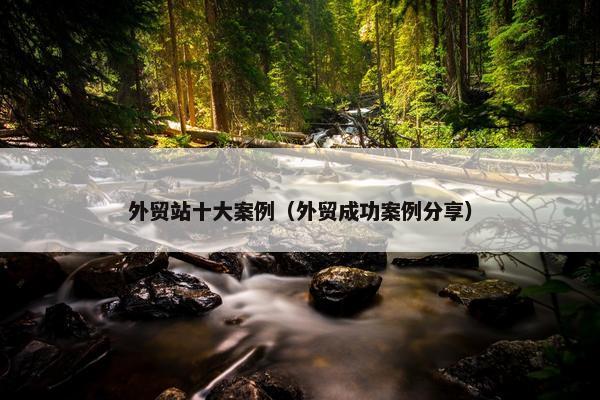 外贸站十大案例（外贸成功案例分享）
