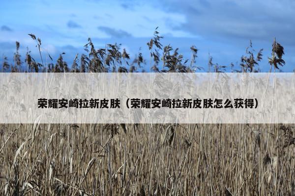 荣耀安崎拉新皮肤（荣耀安崎拉新皮肤怎么获得）