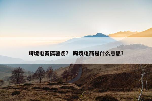 跨境电商搞薯条？ 跨境电商是什么意思？