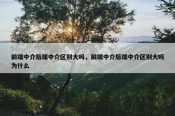 前端中介后端中介区别大吗，前端中介后端中介区别大吗为什么