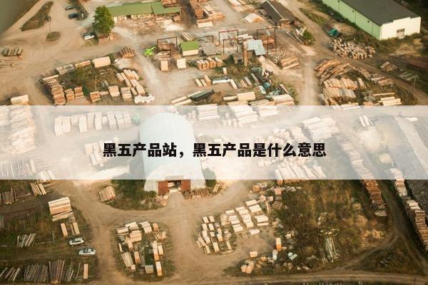 黑五产品站，黑五产品是什么意思