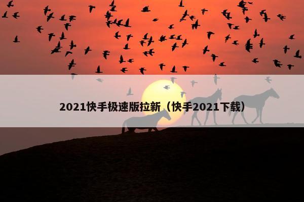 2021快手极速版拉新（快手2021下载）