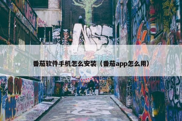 番茄软件手机怎么安装（番茄app怎么用）