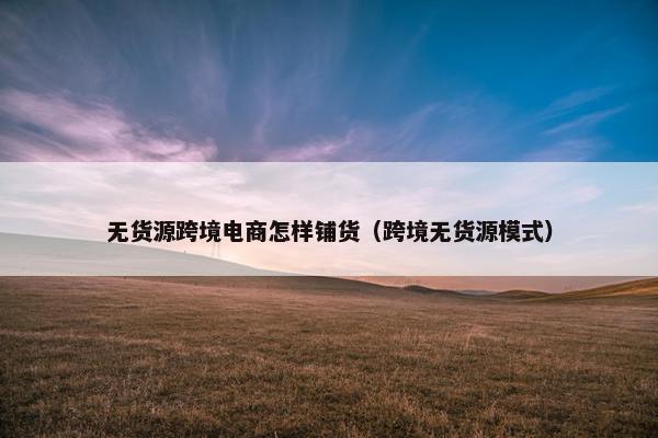无货源跨境电商怎样铺货（跨境无货源模式）