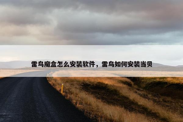 雷鸟魔盒怎么安装软件，雷鸟如何安装当贝