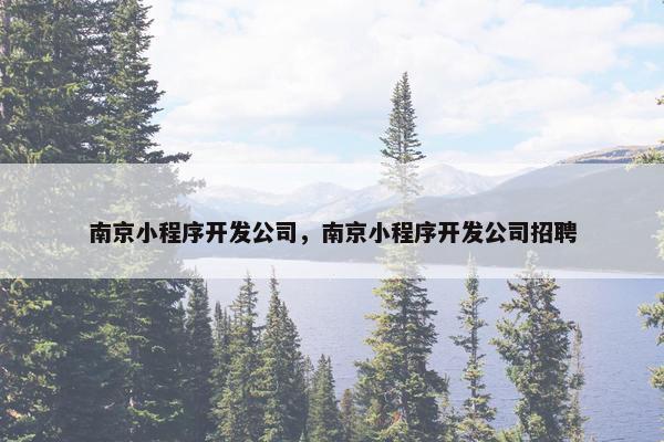 南京小程序开发公司，南京小程序开发公司招聘