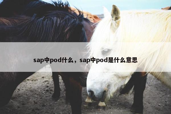 sap中pod什么，sap中pod是什么意思